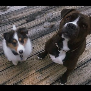 Meet your Posher, Bree